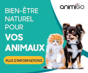 Animigo