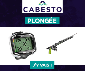 Cabesto