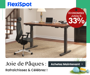 Flexispot